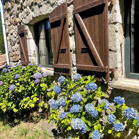 Gite Des Sausses Dans Une Nature Preservee Burzet ภายนอก รูปภาพ