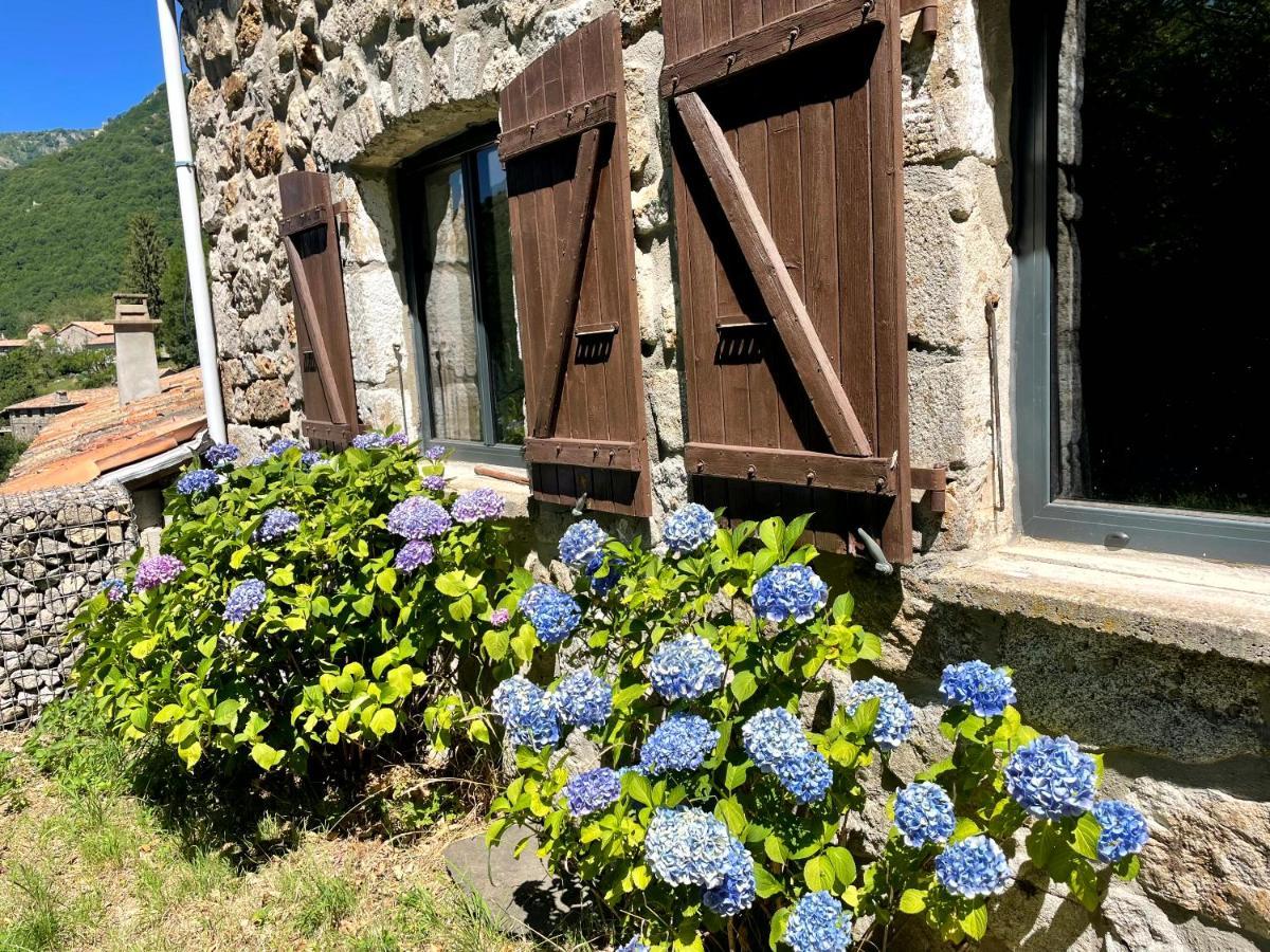 Gite Des Sausses Dans Une Nature Preservee Burzet ภายนอก รูปภาพ