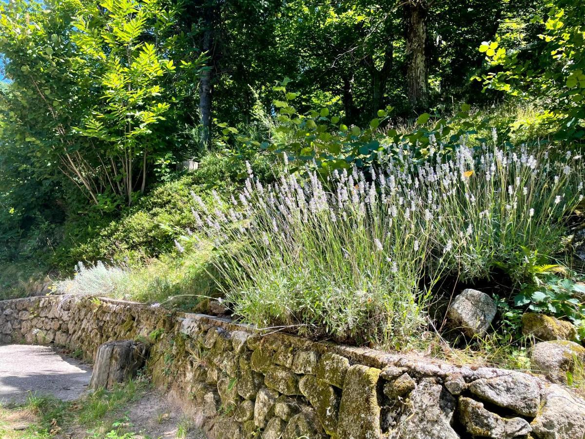Gite Des Sausses Dans Une Nature Preservee Burzet ภายนอก รูปภาพ