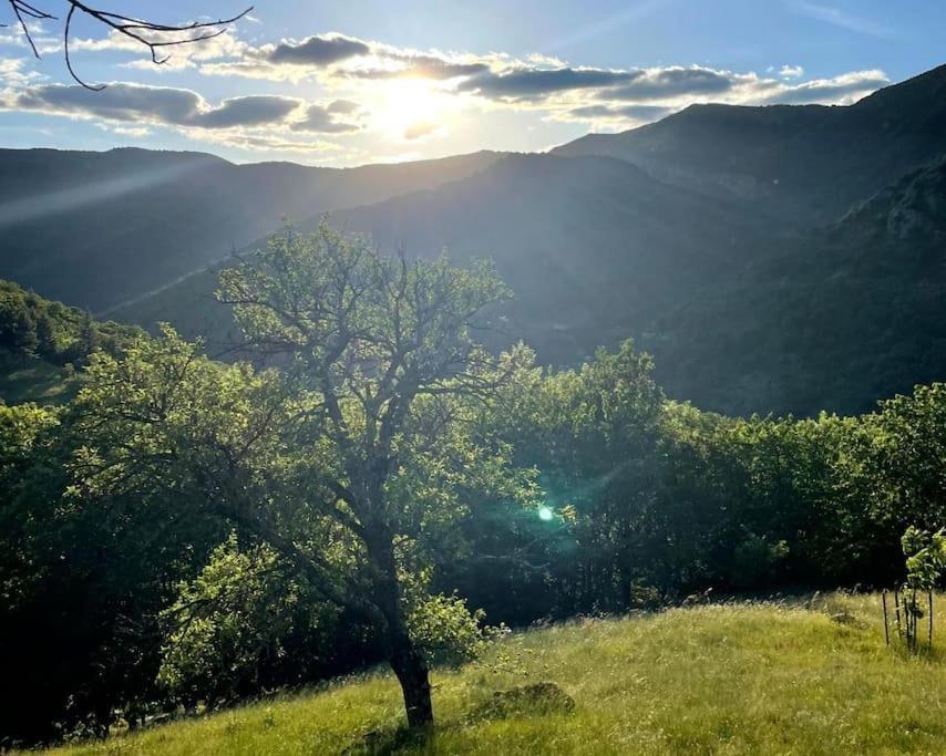 Gite Des Sausses Dans Une Nature Preservee Burzet ภายนอก รูปภาพ