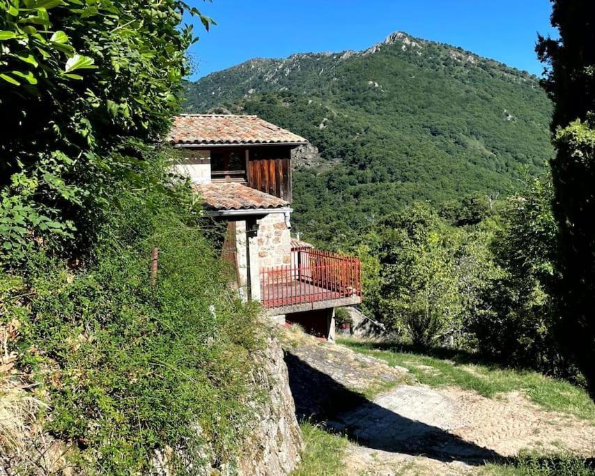 Gite Des Sausses Dans Une Nature Preservee Burzet ภายนอก รูปภาพ